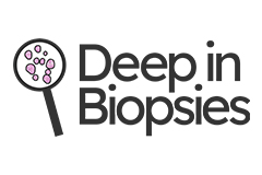 Deep-in-Biopsies
